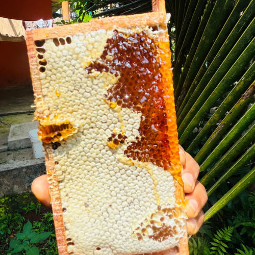 Untitled design (12)